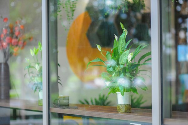 Installer des panneaux solaires à Bordeaux : guide complet